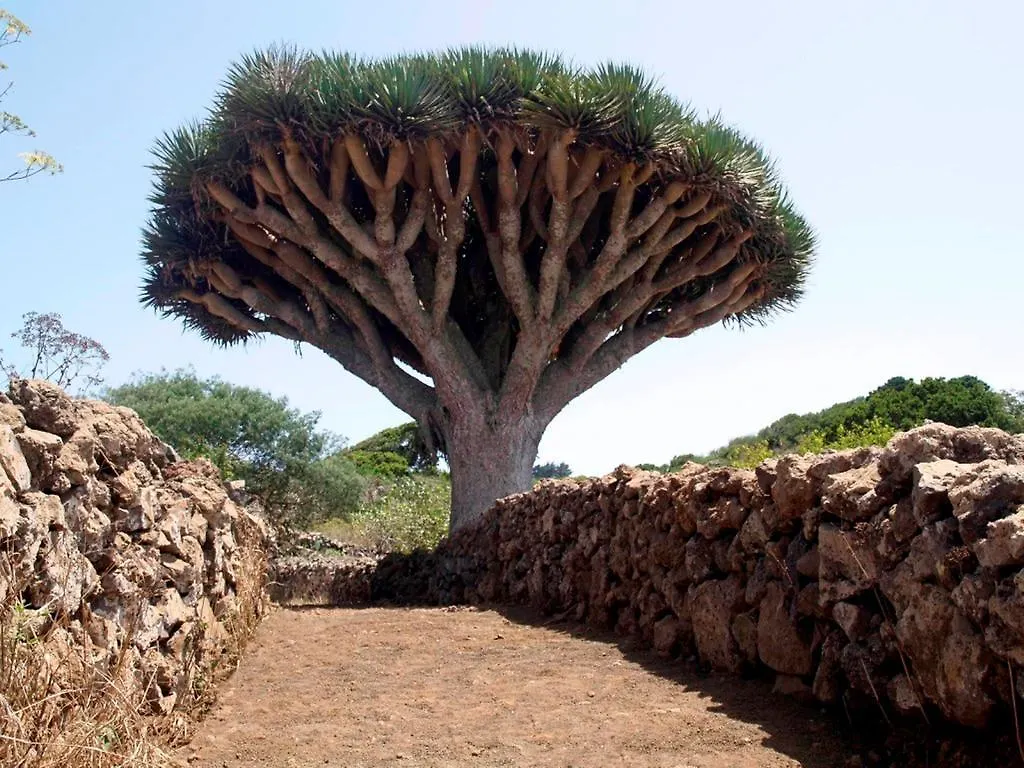 Gran Drago Villa Valverde  0*, Valverde (El Hierro) Spain